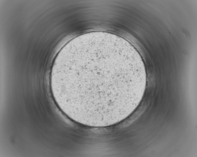 X0000112780906200910011255