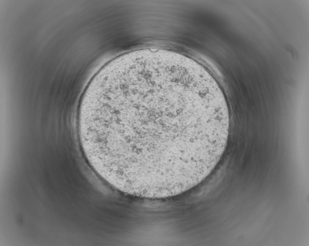 X0000112780907200910011255