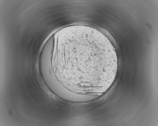 X0000112780908200910011255