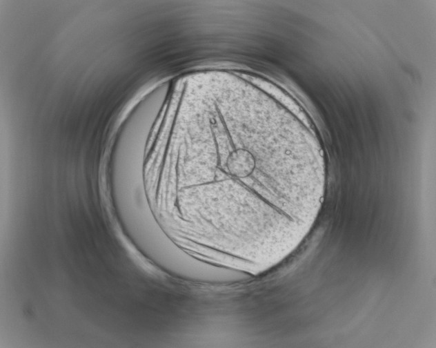 X0000112780909200910011255