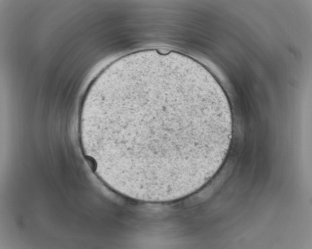 X0000112780910200910011255