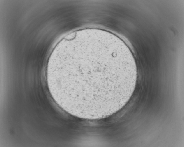 X0000112780911200910011255