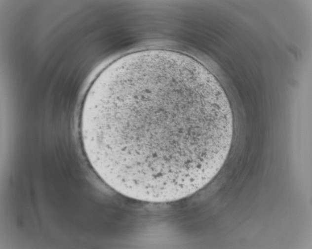 X0000112780912200910011255