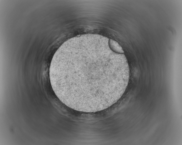 X0000112780914200910011254