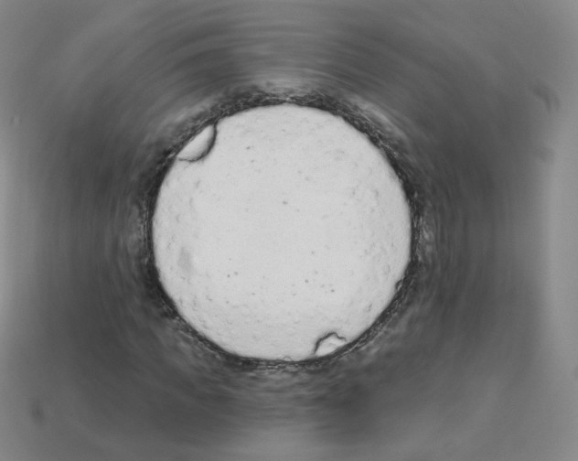 X0000112780917200910011254