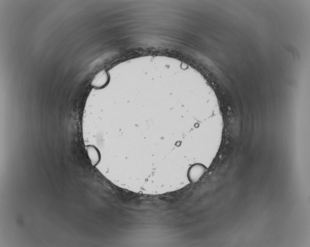 X0000112780918200910011254