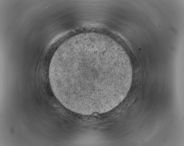 X0000112780919200910011254