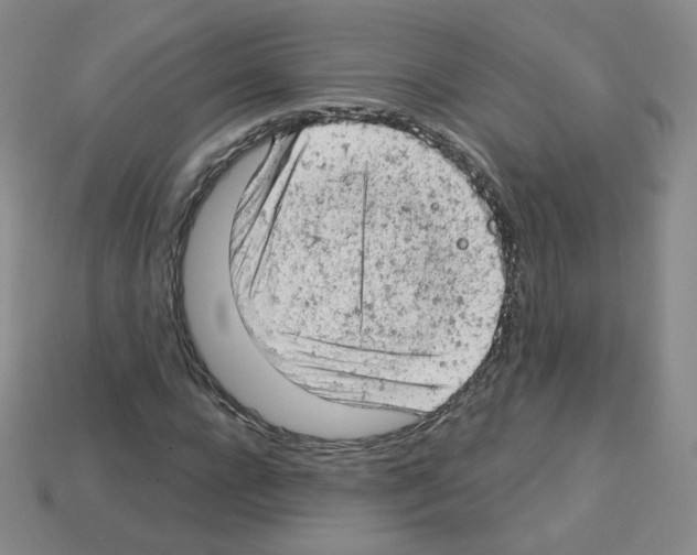 X0000112780920200910011254