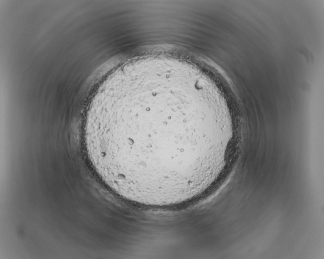 X0000112780921200910011254