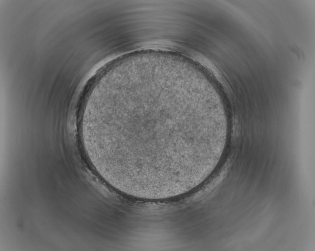 X0000112780923200910011254