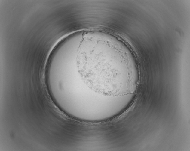 X0000112780924200910011254