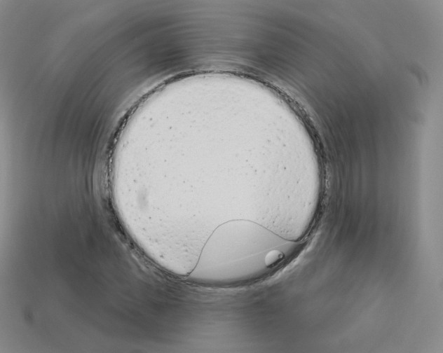 X0000112780925200910011254