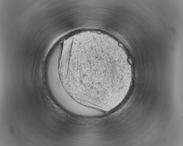 X0000112780926200910011254