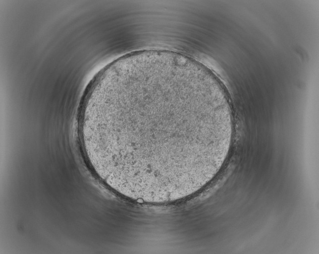 X0000112780928200910011254