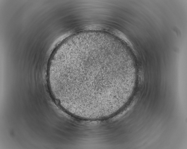 X0000112780930200910011254