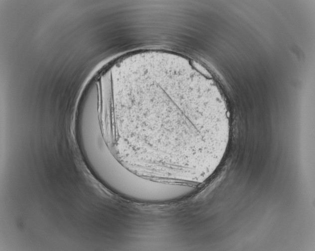 X0000112780932200910011254