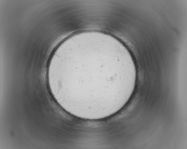 X0000112780933200910011254