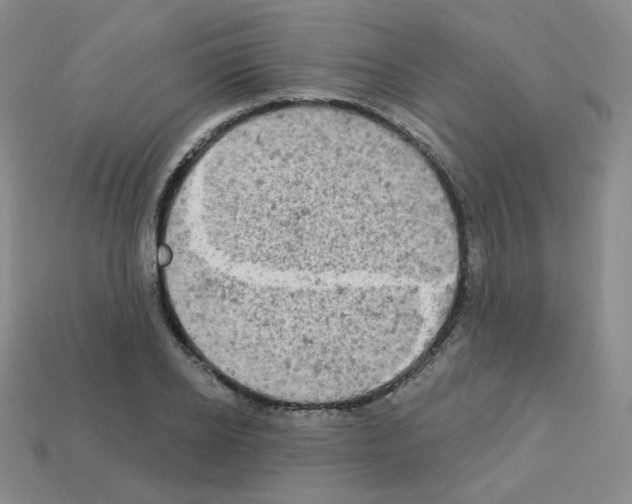 X0000112780934200910011254