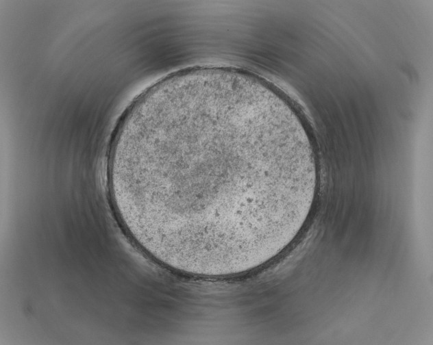 X0000112780935200910011254