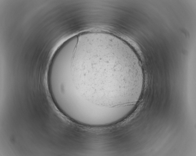 X0000112780936200910011254