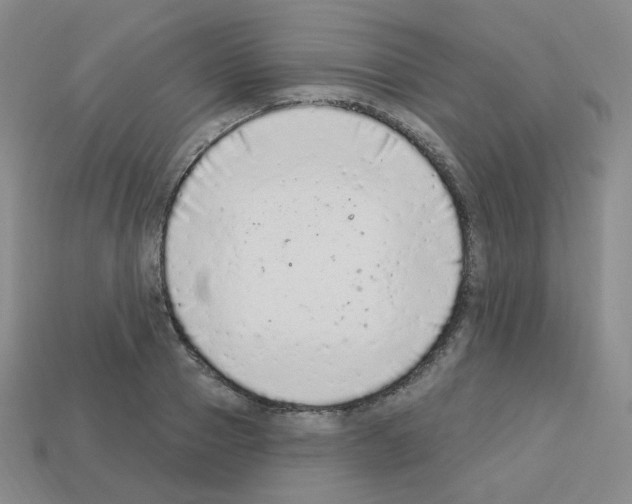 X0000112780937200910011254