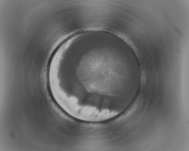 X0000112780941200910011254