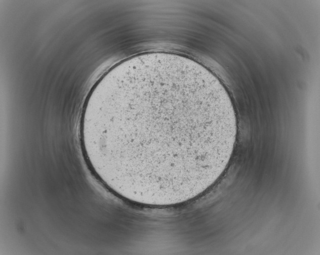 X0000112780946200910011254