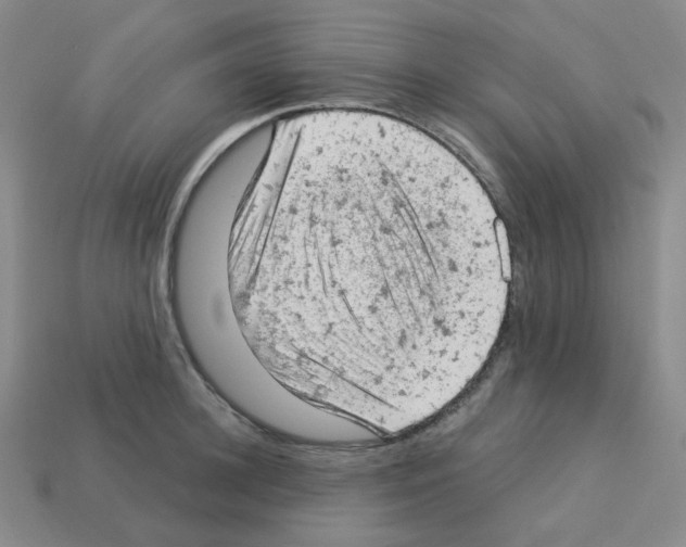 X0000112780948200910011255