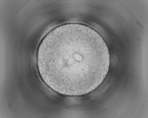 X0000112780950200910011255