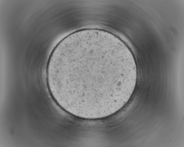 X0000112780951200910011255