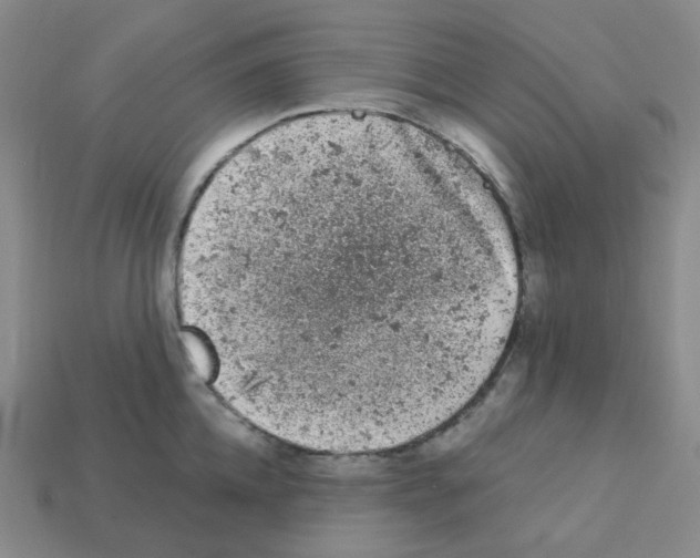 X0000112780952200910011255