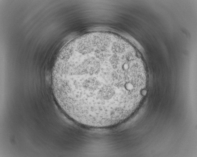 X0000112780953200910011255