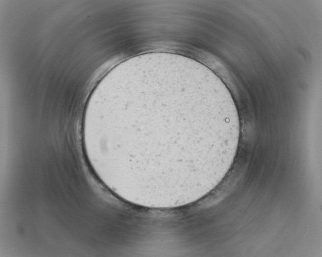 X0000112780954200910011255