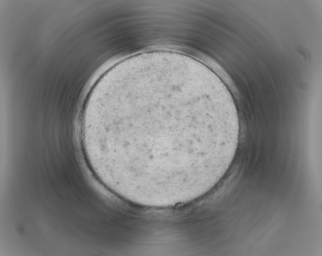 X0000112780955200910011255