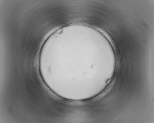 X0000112780957200910011255