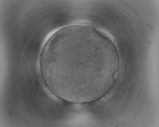 X0000112780960200910011255