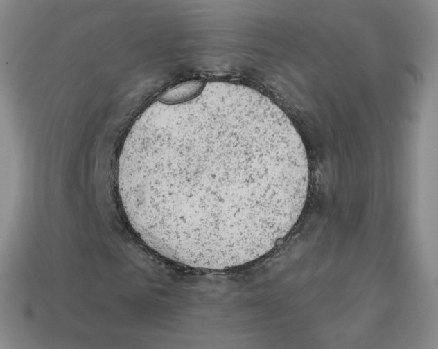 X0000112780961200910011254