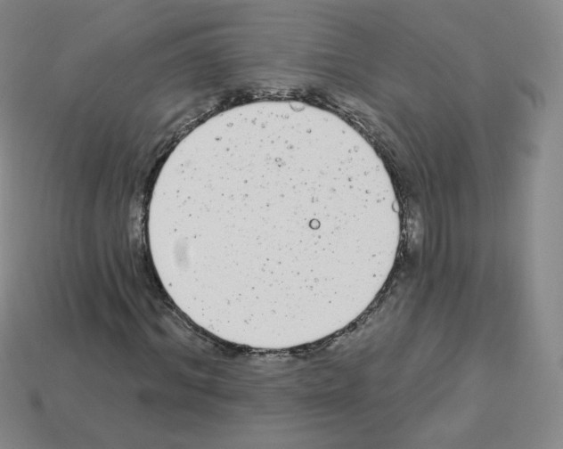 X0000112780964200910011254