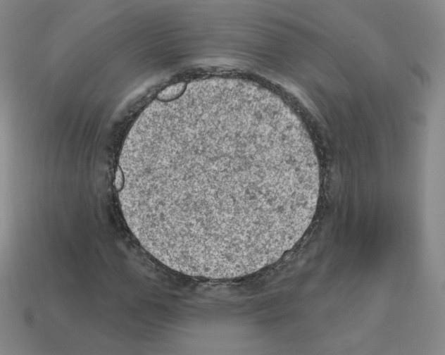 X0000112780967200910011254