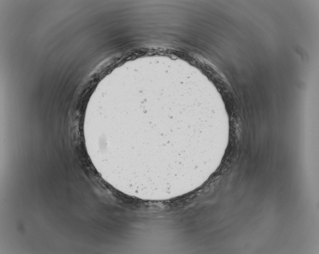 X0000112780968200910011254