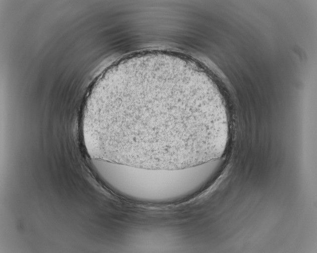 X0000112780969200910011254