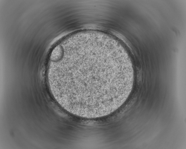 X0000112780971200910011254