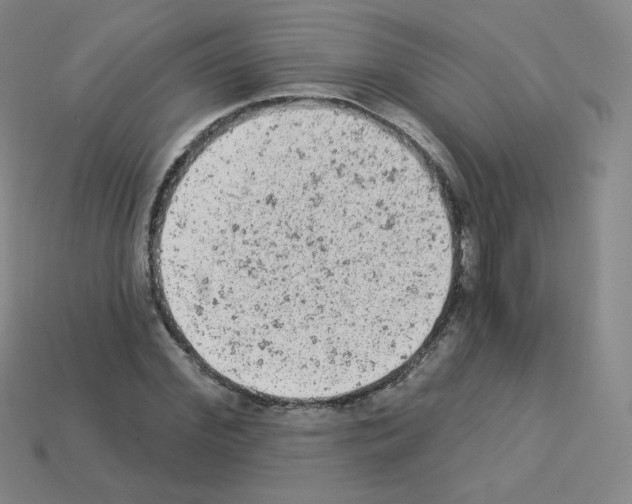 X0000112780972200910011254