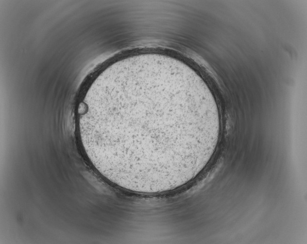 X0000112780973200910011254