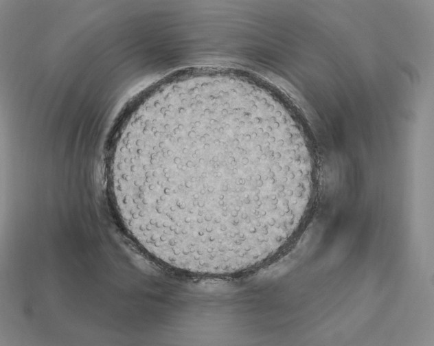 X0000112780974200910011254