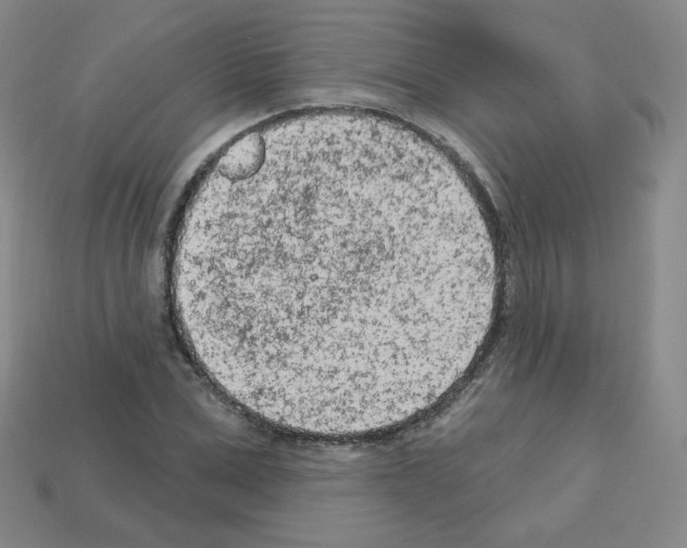 X0000112780975200910011254