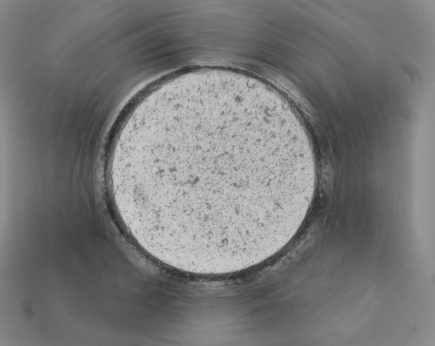 X0000112780976200910011254