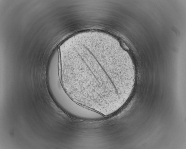 X0000112780977200910011254