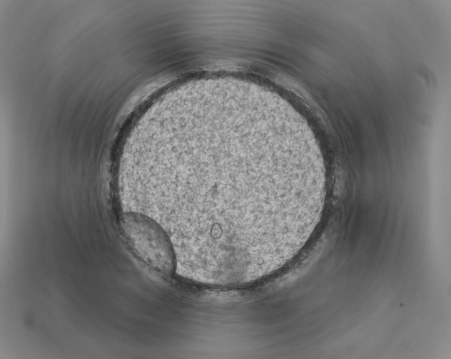 X0000112780978200910011254