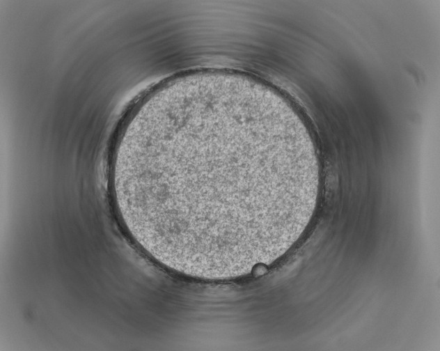 X0000112780979200910011254